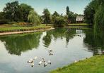 Sappemeer, Prinses Margrietpark - eenden - 1981 gelopen, Ophalen of Verzenden, Voor 1920, Gelopen, Noord-Brabant