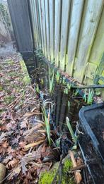 2 metalen vijverbakken met vissen, Tuin en Terras, Ophalen, Gebruikt