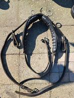 Schoft met borsttuig, Ophalen of Verzenden