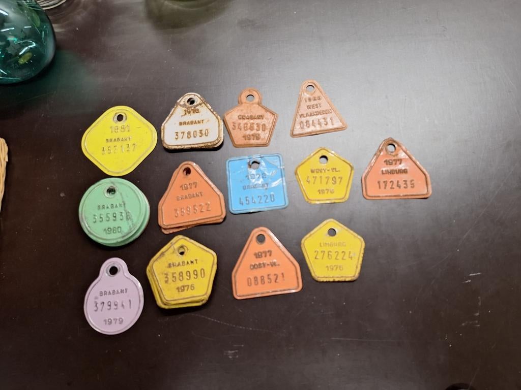 Fietstaksplaatjes, Ophalen of Verzenden, Overige typen