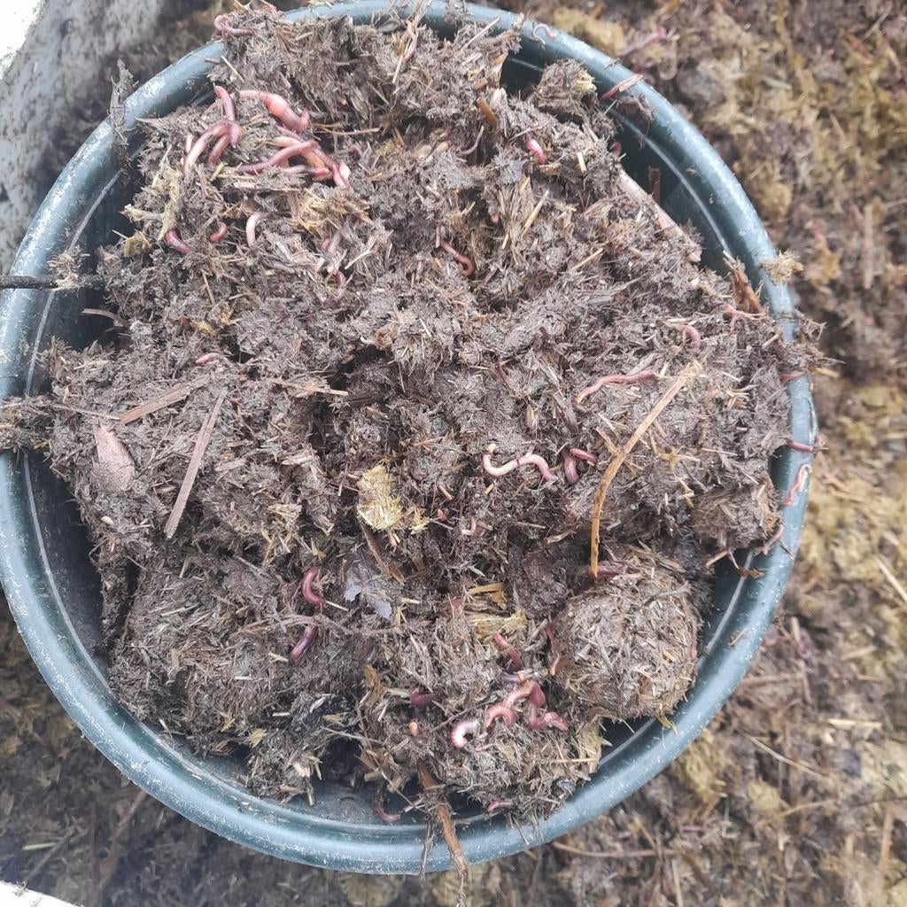 5 liter compost met compostwormen, Ophalen