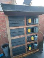 Mooi groot hok voor konijnen, Ophalen, 110 cm of meer, Hok, 90 cm of meer