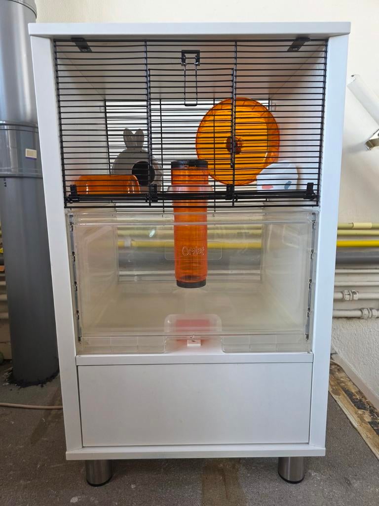 Hamster/kleine Knaagdieren verblijf, Dieren en Toebehoren, Ophalen, Kooi, 60 tot 90 cm, Minder dan 75 cm