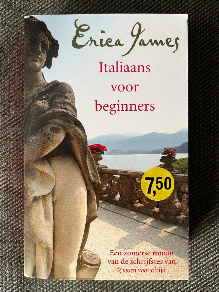 Erica James - Italiaans voor beginners., Boeken, Ophalen of Verzenden, Zo goed als nieuw, Erica James, Europa overig