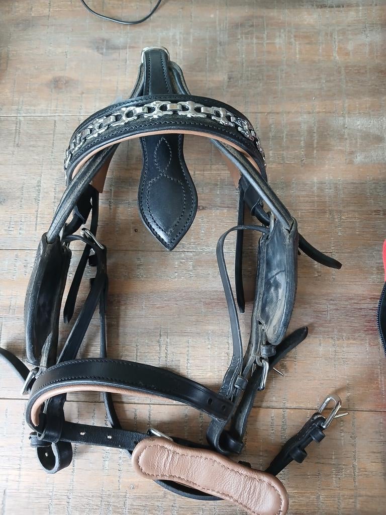 Nieuw Ideal luxe shetlander men hoofdstel bruin onderlegd, Dieren en Toebehoren, Ophalen of Verzenden, Nieuw, Overige soorten