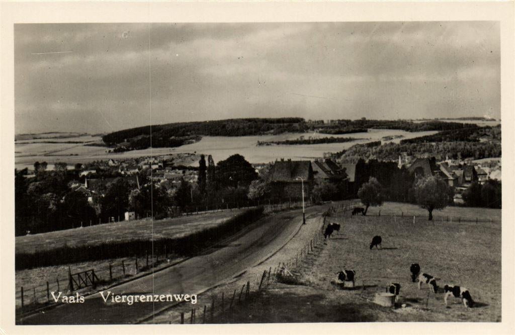 Vaals - Viergrenzenweg - koeien - ongelopen, Ophalen of Verzenden, Voor 1920, Ongelopen, Limburg