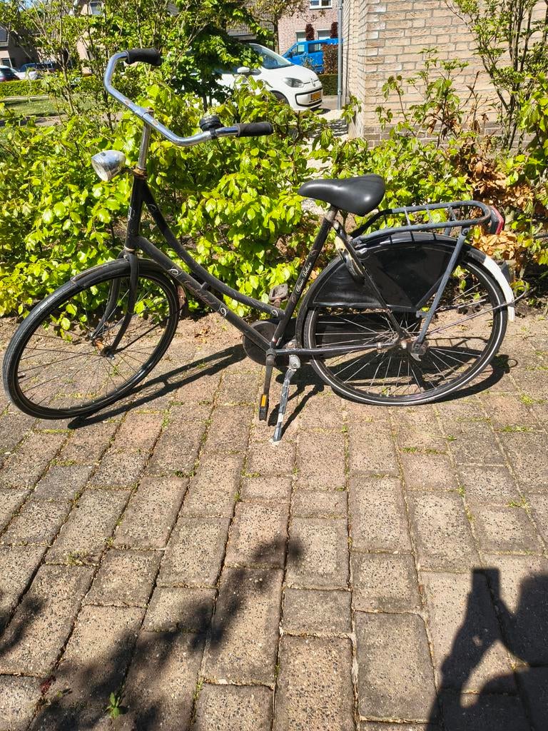 Oude omafiets, Ophalen, Terugtraprem, Onbekend, 53 tot 56 cm