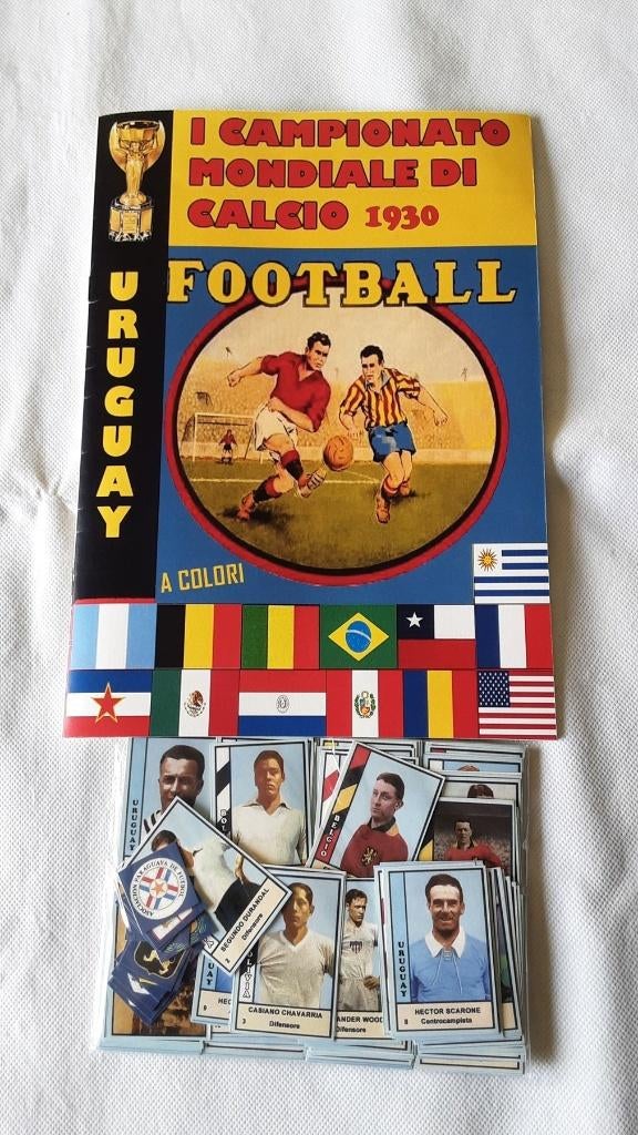 Verzameling Albums WK voetbal van Panini en andere, Ophalen, Zo goed als nieuw, Buitenlandse clubs, Poster, Plaatje of Sticker