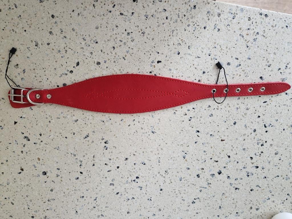 Een speciale halsband voor teckels, 45cm x 7 cm, Dieren en Toebehoren, Ophalen of Verzenden, Nieuw