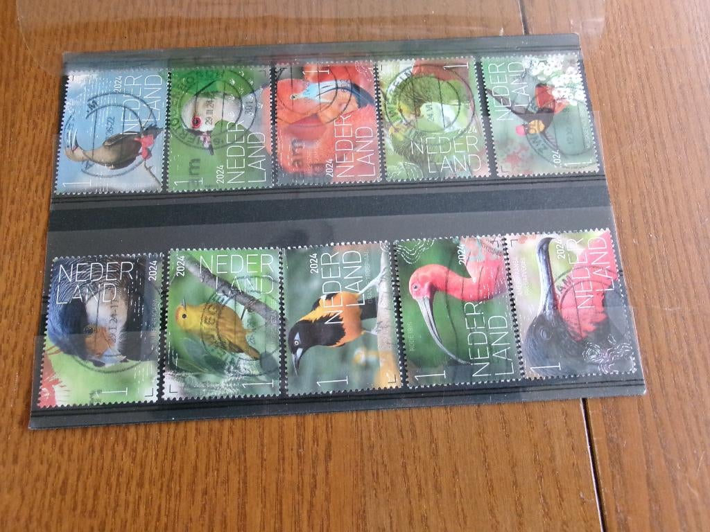 2024 - beleef de natuur vogels bonaire (739b), Postzegels en Munten, Postzegels | Nederland, Verzenden, Gestempeld