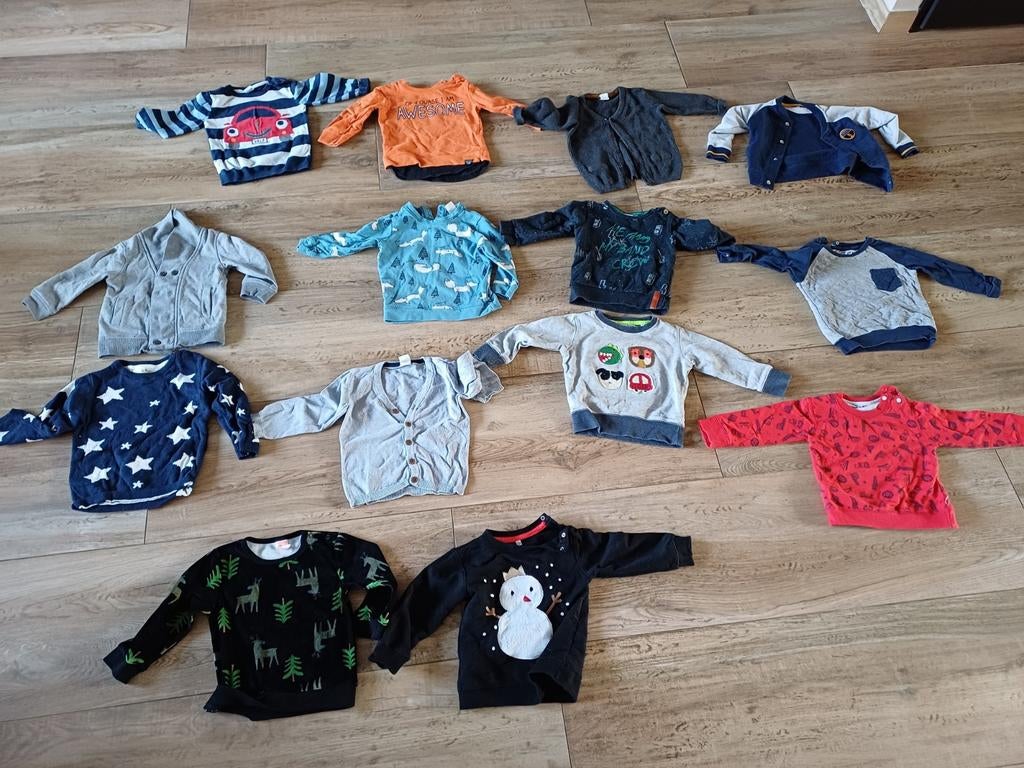 Truien maat 86, Kinderen en Baby's, Kinderkleding | Mutsen, Sjaals en Handschoenen, Ophalen of Verzenden, Zo goed als nieuw, 104 of kleiner