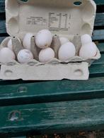 Eieren van de Hollandse uilenbaard krielkip, Ophalen, Overige typen