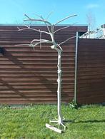 Java/vogel boom, Ophalen