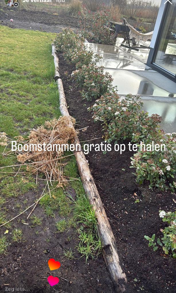 Boomstammen gratis op te halen voor tuin of decoratie, Tuin en Terras, Ophalen, Gebruikt, 250 cm of meer, Overige typen