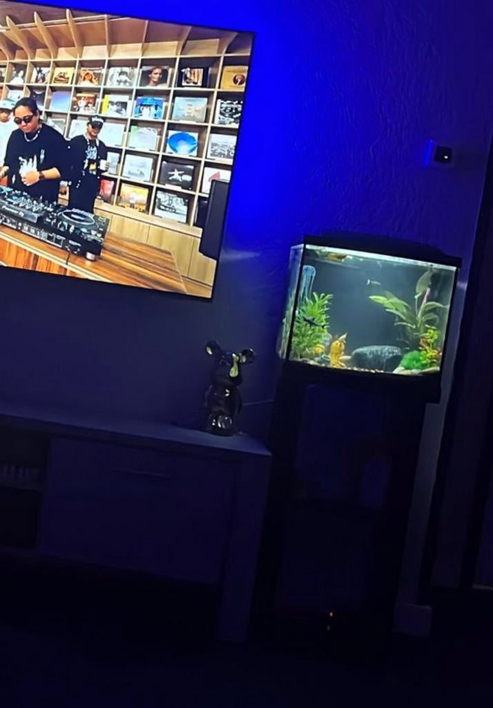 Aquarium 50L te koop!, Ophalen of Verzenden, Gebruikt, Leeg aquarium