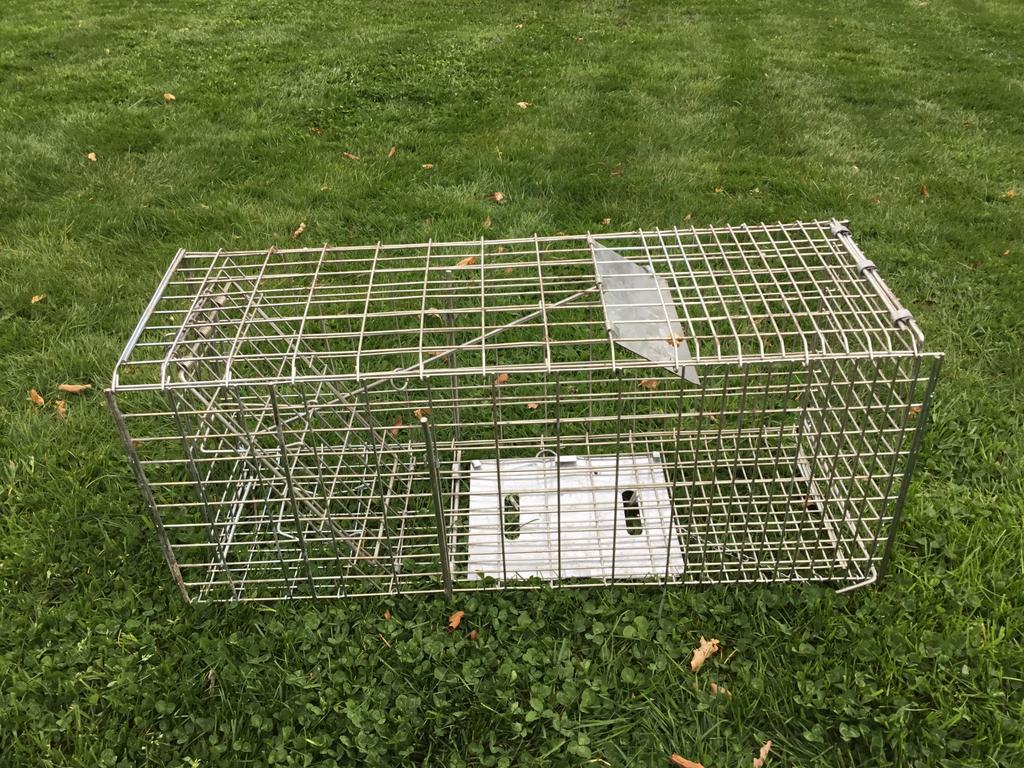 Vangkooi, Dieren en Toebehoren, Ophalen, Zo goed als nieuw