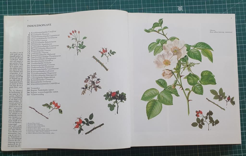 Nederlandse oecologische flora deel 1+2+3 (Weeda), Boeken, Natuur, Ophalen of Verzenden, Zo goed als nieuw, Bloemen, Planten en Bomen