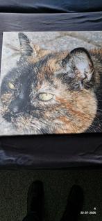 Canvas schilderij schildpad poes 60x60 cm, Ophalen of Verzenden