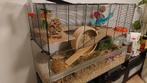 Ratten-rittens/hamster-/muizenhok 50x100x71, Dieren en Toebehoren, Ophalen, Gebruikt, 60 tot 90 cm, Muis