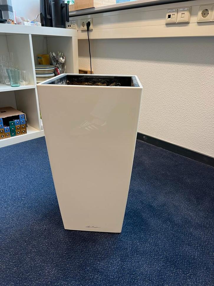 Witte LECHUZA plantenbak met dubbele bodem, 55x30 cm, Tuin en Terras, Bloembakken en Plantenbakken, Gebruikt, Kunststof, Binnen