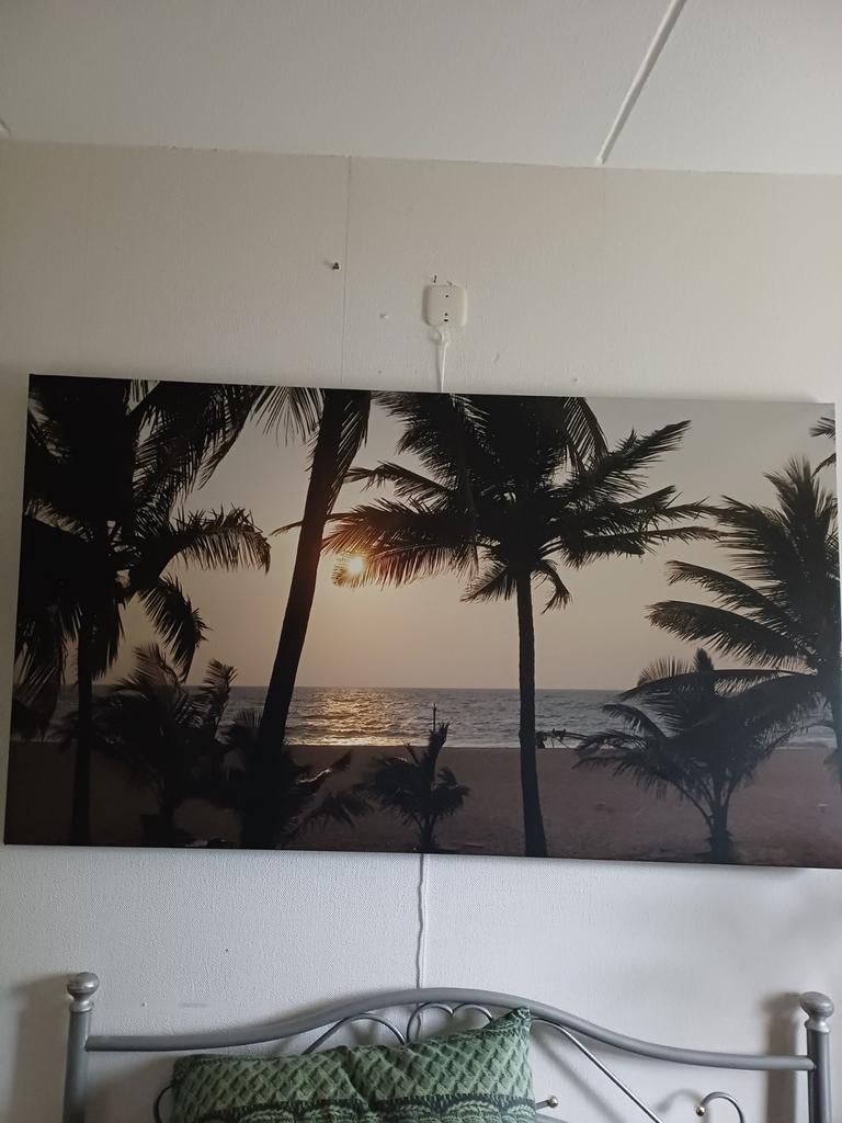 Mooi Canvas doek met zonsondergang en palmbomen, Ophalen of Verzenden, 100 tot 125 cm, Minder dan 50 cm, Print