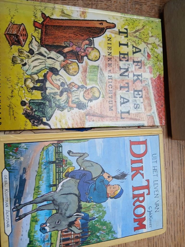 Afkes tiental .nienke van hichtum     uit het leven van dik, Boeken, Ophalen of Verzenden, Zo goed als nieuw