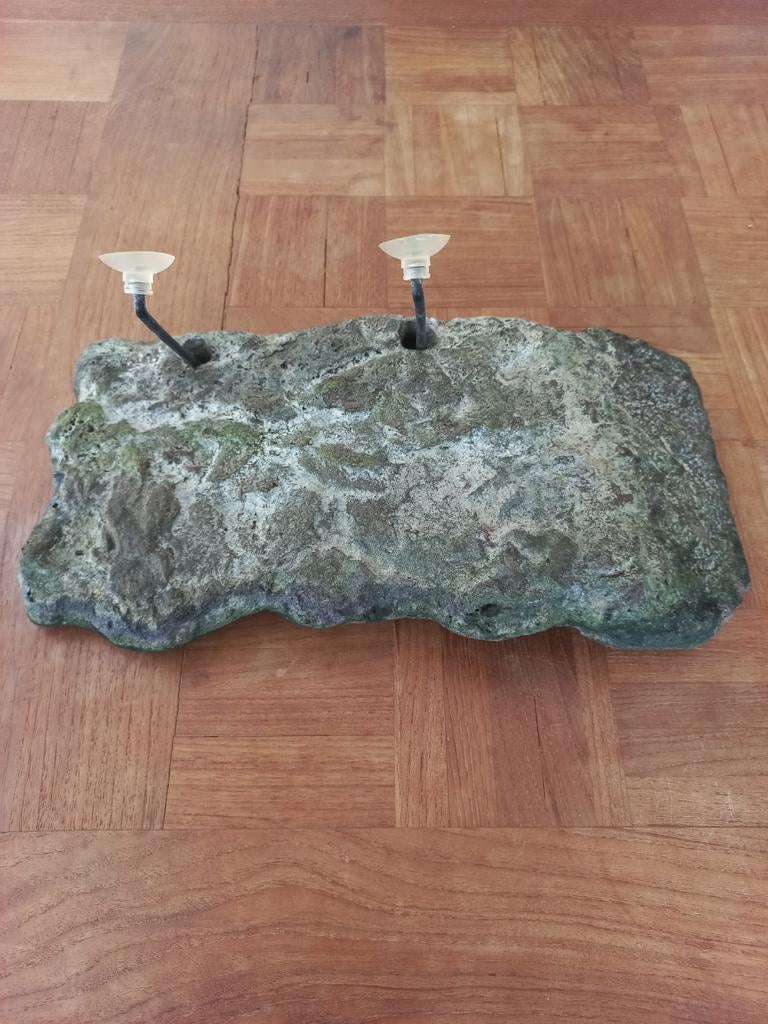 Zoo med turtle dock, Dieren en Toebehoren, Schildpad