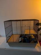 Hamsterkooi, Kooi, Minder dan 75 cm, Zo goed als nieuw, Hamster