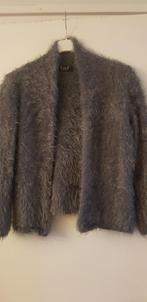 Warm zacht harig vest van Envy 40, Kleding | Dames, Truien en Vesten, Maat 38/40 (M), Blauw, Ophalen of Verzenden, Zo goed als nieuw