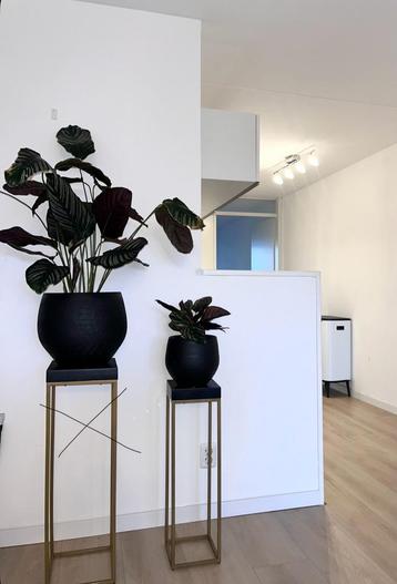 2 bloempotten zwart rond - zonder plant beschikbaar voor biedingen