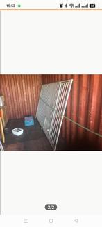 Honden ren te koop !, Ophalen of Verzenden, 110 cm of meer, 100 cm of meer