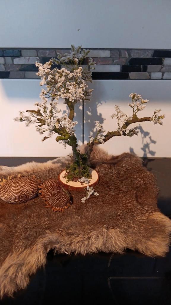 Mini Bonsai Boompje met Droogbloemen - 31cm, Huis en Inrichting, Woonaccessoires | Kunstplanten en Kunstbloemen, Nieuw, Ophalen of Verzenden