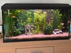 Aquarium 110 liter, Dieren en Toebehoren, Vissen | Aquaria en Toebehoren, Ophalen of Verzenden, Zo goed als nieuw, Verlichting of Verwarming