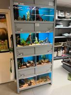 Aqariumstelling, Dieren en Toebehoren, Vissen | Aquaria en Toebehoren, Ophalen of Verzenden, Gebruikt, Verlichting of Verwarming