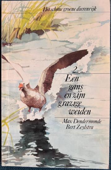 Een gans en zijn grazige weiden.  Max Dendermonde beschikbaar voor biedingen