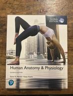 Marieb Human Anatomy & Physiology, Boeken, Ophalen of Verzenden, Beta, Zo goed als nieuw, WO