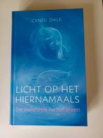 Cyndi Dale - Licht op het hiernamaals, Spiritualiteit algemeen, Ophalen of Verzenden, Zo goed als nieuw, Cyndi Dale