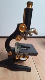 Antieke microscoop van de fabrikant W. & H. Seibe, Antiek en Kunst, Ophalen of Verzenden
