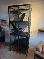 Ferret nation 182 + 183 grote kooi, Ophalen, Kooi, Gebruikt, Eekhoorn