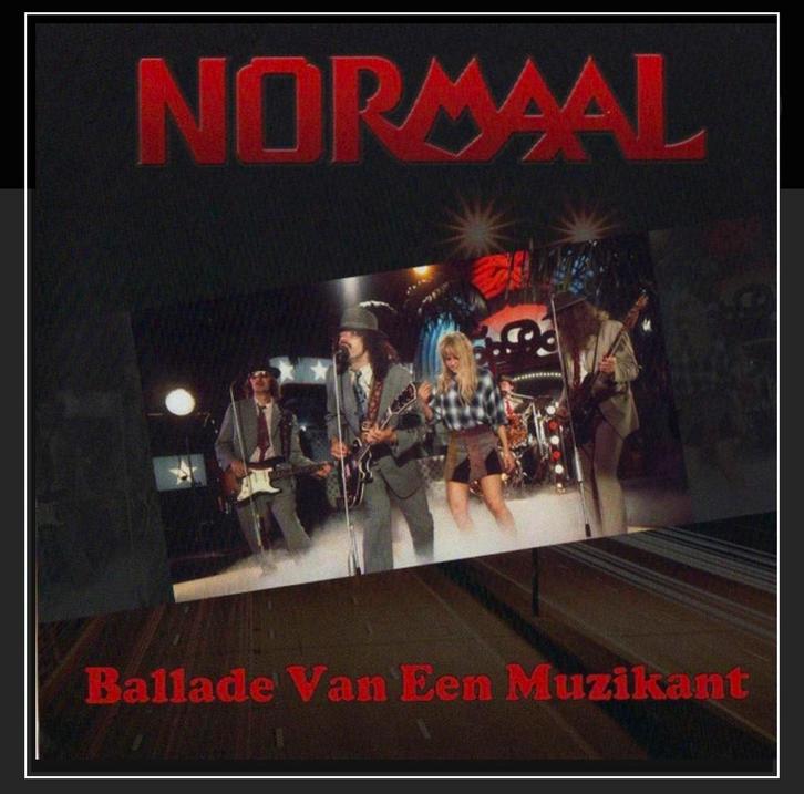 GEZOCHT! Balade van een muziekant GEZOCHT!, Cd's en Dvd's, Cd's | Nederlandstalig, Gebruikt, Rock, Ophalen of Verzenden