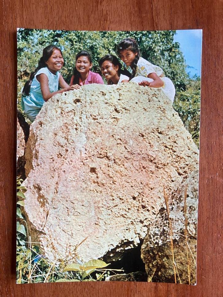 Suriname. Javaanse meisjes van het kinderhuis Leliëndaal, Verzamelen, Ansichtkaarten | Buitenland, Ongelopen, Buiten Europa, 1960 tot 1980