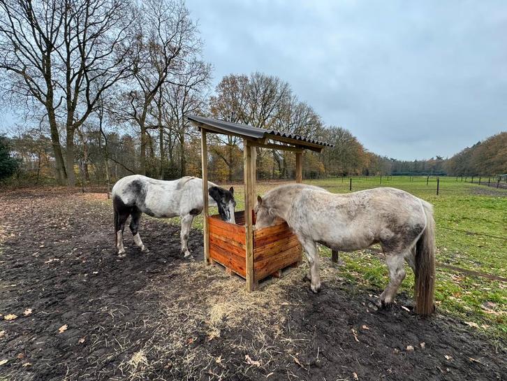 Verzorger gezocht, Dieren en Toebehoren, Stalling en Weidegang