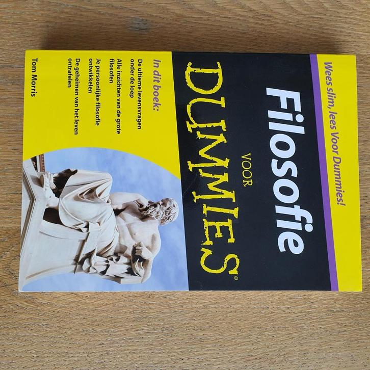 Filosofie voor Dummies boek, Boeken, Filosofie, Gelezen, Praktische filosofie, Ophalen of Verzenden