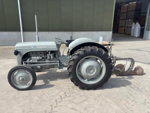 MF TEF, Zakelijke goederen, Agrarisch | Tractoren, tot 2500, Massey Ferguson, tot 80 Pk, Oldtimer, Ophalen