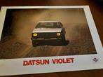 Brochure Datsun  Violet, Boeken, Gelezen, Overige merken, Ophalen of Verzenden, Datsun