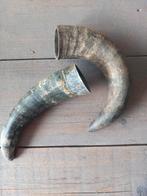 originele koeienhoorns, Huis en Inrichting, Woonaccessoires | Overige, Ophalen of Verzenden, Gebruikt