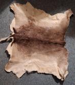 Damhert huid, Verzamelen, Dierenverzamelingen, Ophalen, Zo goed als nieuw, Hert, Overige typen