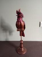 Kaketoe, Ophalen of Verzenden