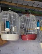 Vogels kooien, Ophalen, Hout, Vogelkooi