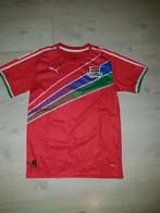 Gambia heren voetbalshirt in size large, Ophalen of Verzenden, Zo goed als nieuw, Maat 52/54 (L)